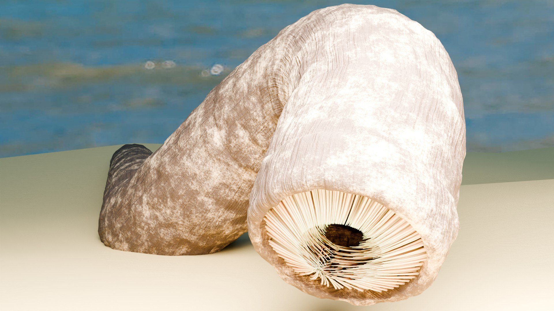 3D Dune Sandworm Model - TurboSquid 2380167