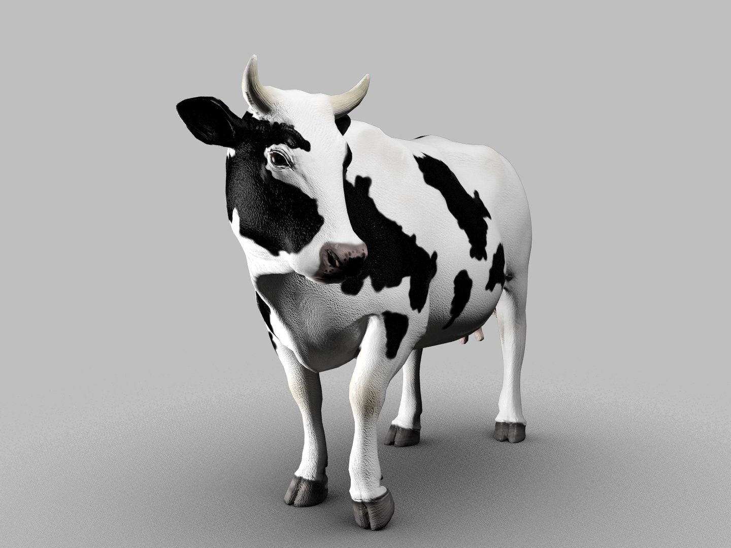 3d Rigged Cow