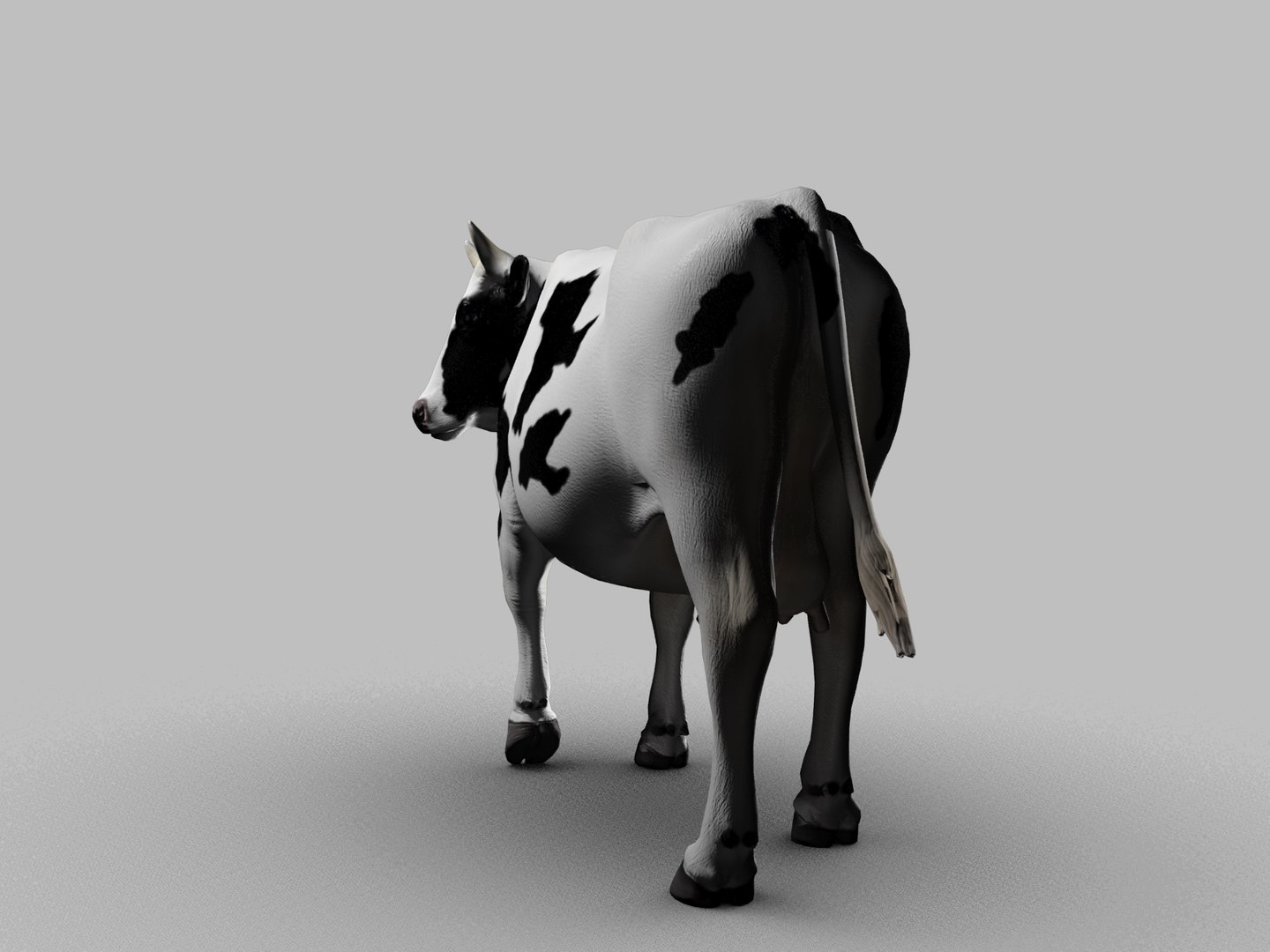 3d Rigged Cow