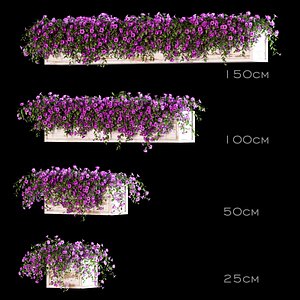 3D model balcony boxes flowers