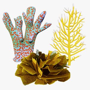 3D model Realistic Coral and Seaweed 3D Asset Collection