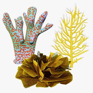 Realistic Coral and Seaweed 3D Asset Collection