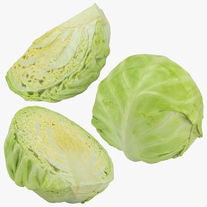 Cabbage Set 3D model