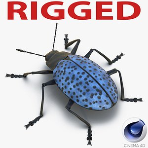 3d model gibbifer californicus beetle rigged