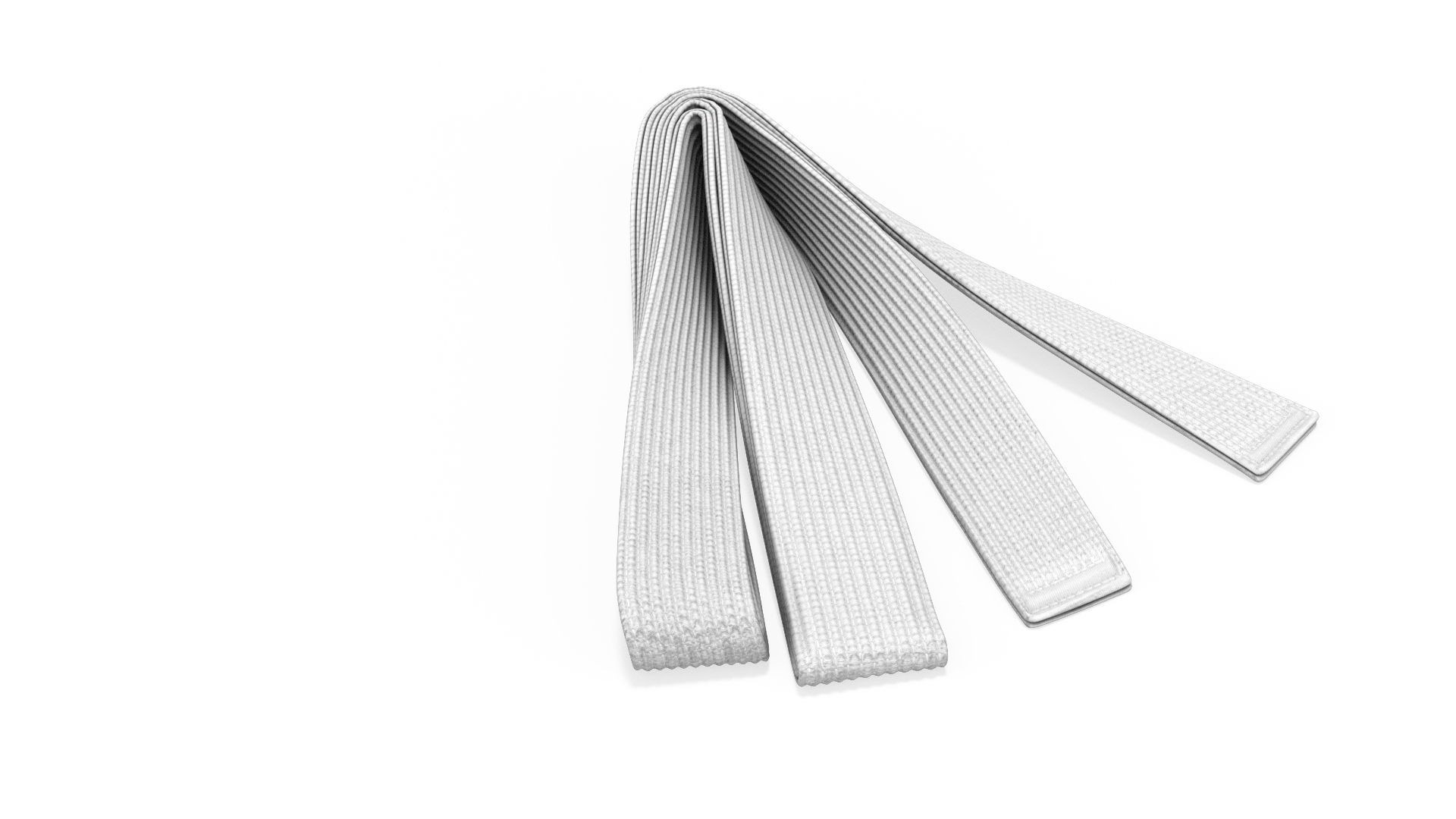 3D Model White Martial Arts Belt Obi TurboSquid 2131581