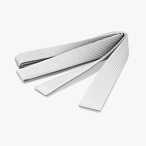3D model White Martial Arts Belt Obi
