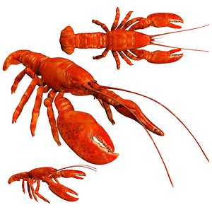 rigged low poly lobster