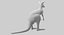 kangaroo fur hair 3D