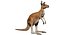 kangaroo fur hair 3D