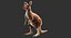 kangaroo fur hair 3D