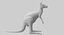 kangaroo fur hair 3D