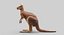 kangaroo fur hair 3D