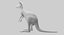 kangaroo fur hair 3D