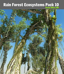 Rain Forest ecosystems Pack 10