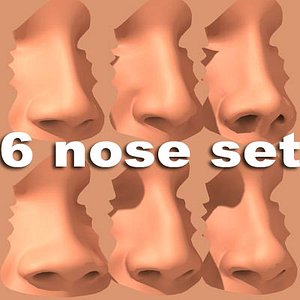 6 nose set