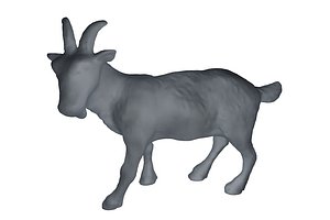 Detailed Goat Base Mesh