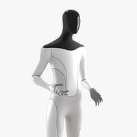 Tesla Bot High Quality Faithful 3D model - Blender Cycles Eevee Rigged VR  AR  low-poly 3d model