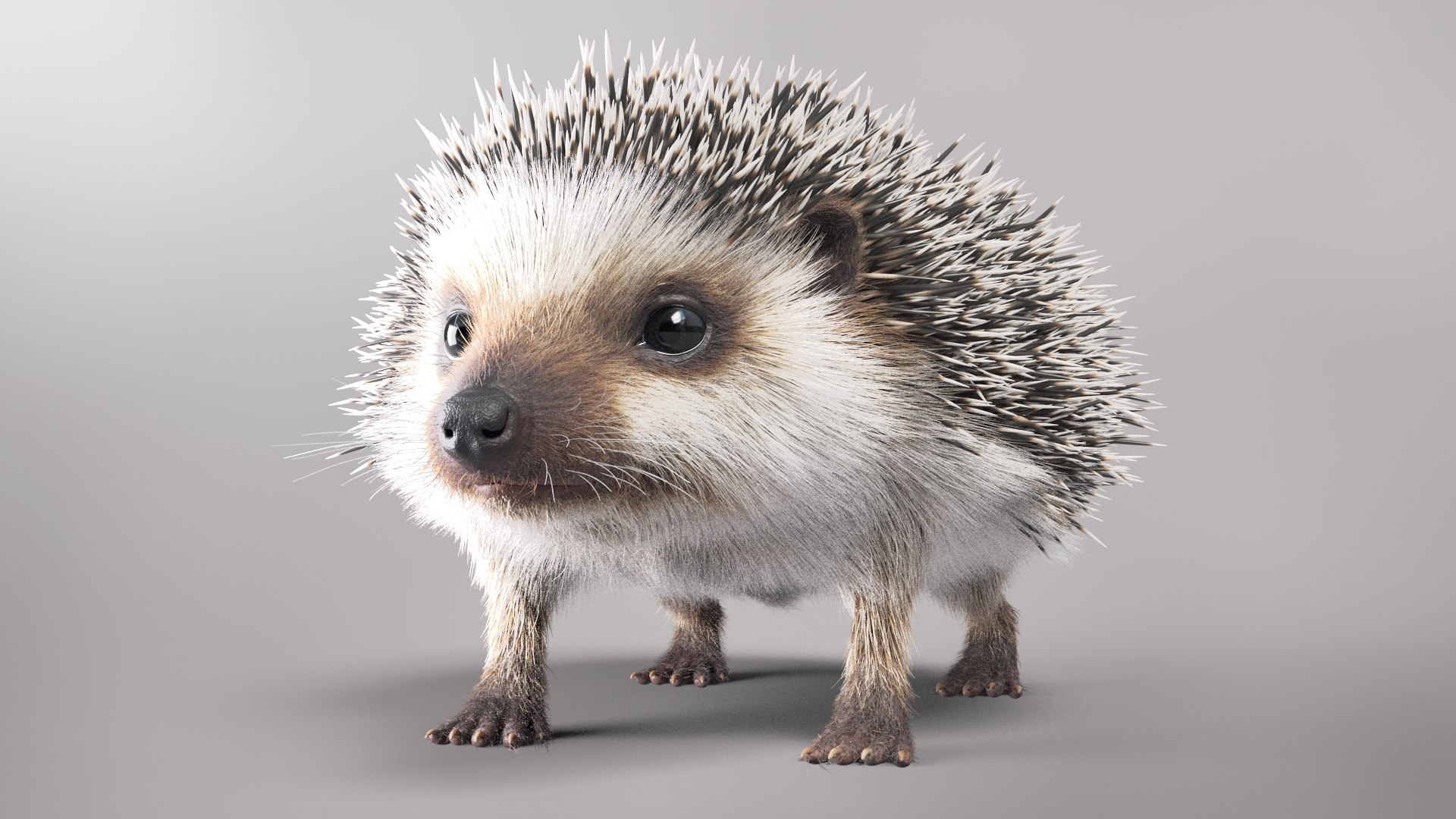 Hedgehog fur 3D - TurboSquid 1665531