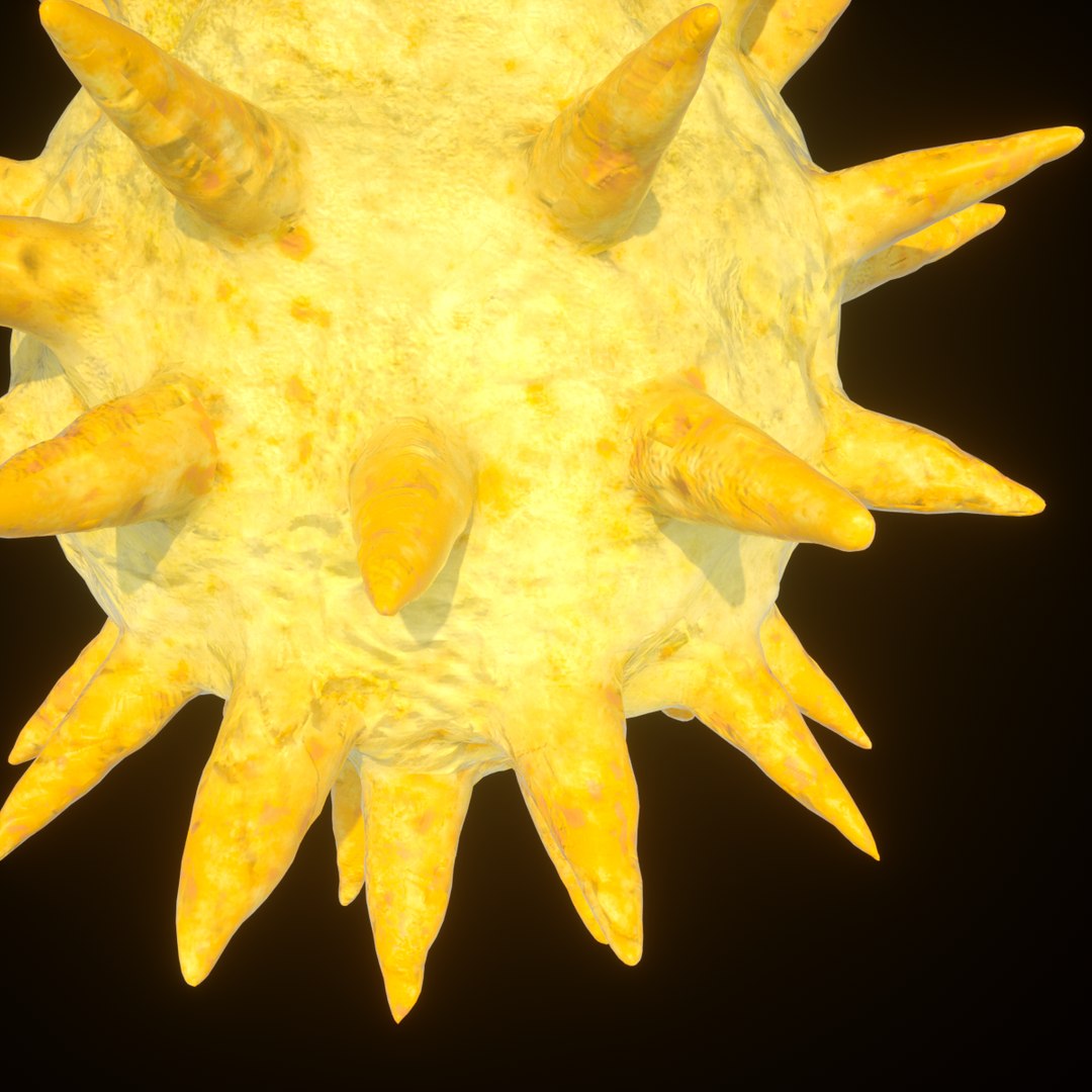 Hepatitis C Virus 3D - TurboSquid 1391294