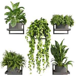 plant vol 852 - hanging- palm - banana - monstera 3D model