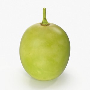 green grape 3d model