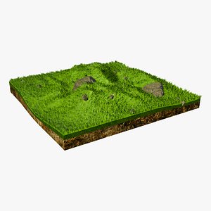 3D Hill With Rocky Grass 3