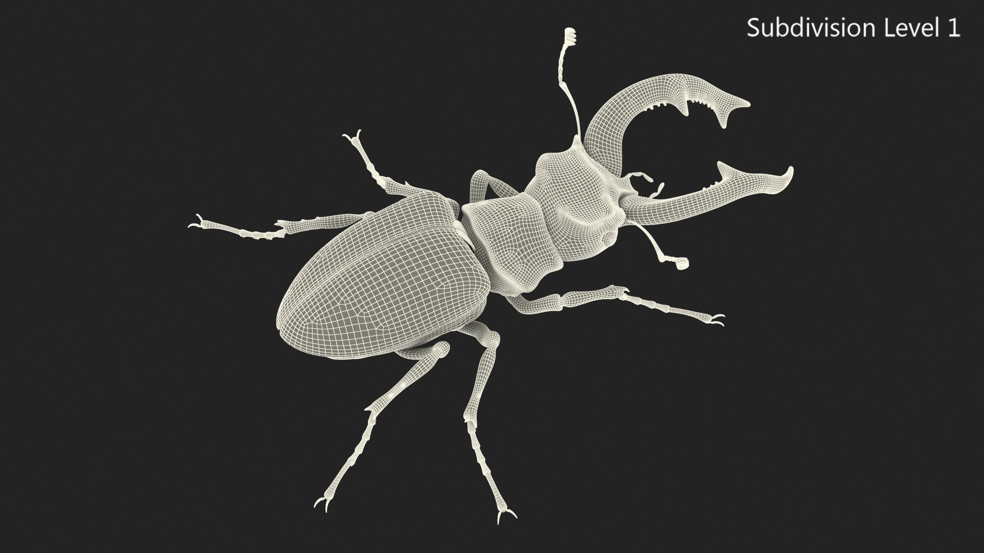 3D lucanus cervus stag beetle https://p.turbosquid.com/ts-thumb/Xu/OAjaSw/0gm7h2Ho/lucanuscervusstagbeetlewalkingposec4dmodel020/jpg/1582008641/1920x1080/fit_q87/7630633b6b94e81d2325bbb85fcc2027ba8ae349/lucanuscervusstagbeetlewalkingposec4dmodel020.jpg