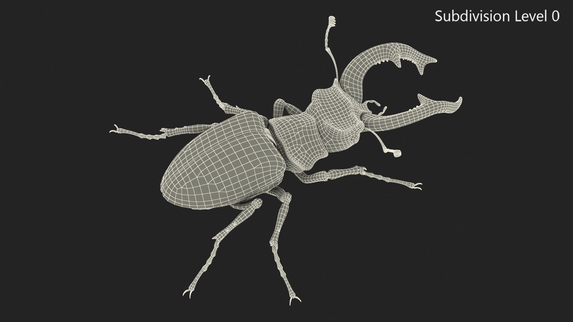 3D lucanus cervus stag beetle https://p.turbosquid.com/ts-thumb/Xu/OAjaSw/QOA7M8QP/lucanuscervusstagbeetlewalkingposec4dmodel019/jpg/1582008633/1920x1080/fit_q87/00f5b20f94b7ff520c4910444403363de015c9d5/lucanuscervusstagbeetlewalkingposec4dmodel019.jpg