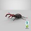 Lucanus Cervus Stag Beetle Walking Pose