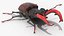 Lucanus Cervus Stag Beetle Walking Pose