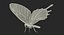 bhutanitis lidderdalii butterfly rigged 3D model