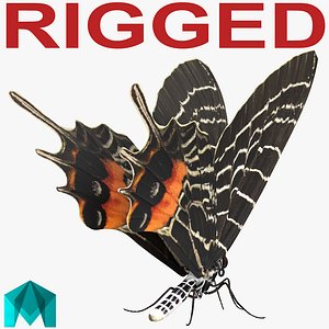 bhutanitis lidderdalii butterfly rigged 3D model