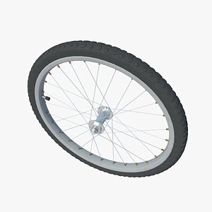bicycle wheels model