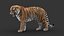 3D tiger animation fur