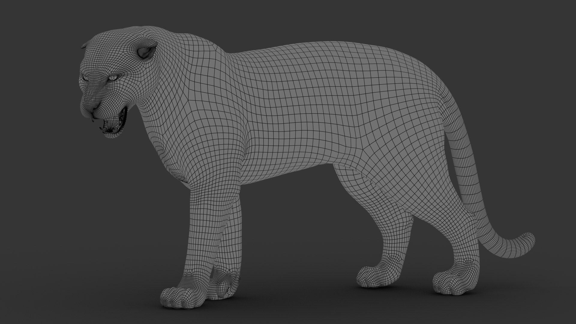 3D tiger animation fur https://p.turbosquid.com/ts-thumb/Xu/nFHBKo/LRi386VZ/wire00/jpg/1566359360/1920x1080/fit_q87/eeb32b6ea91619374303c151cc955ecce58ed1d7/wire00.jpg
