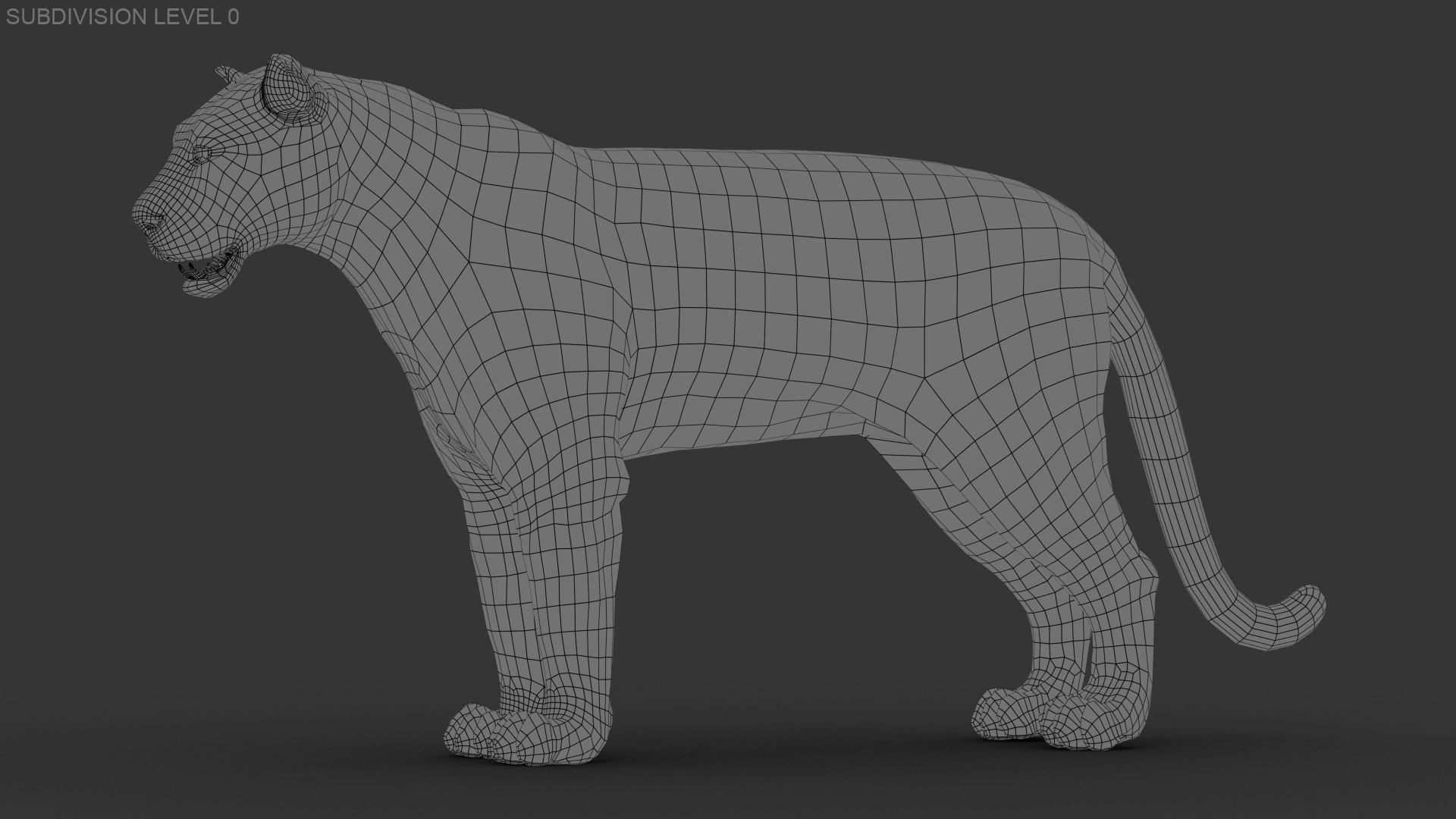 3D tiger animation fur https://p.turbosquid.com/ts-thumb/Xu/nFHBKo/RPScRlah/wire06/jpg/1566359360/1920x1080/fit_q87/249947f95ab35a3e2cc5d465001d85f965f66dad/wire06.jpg
