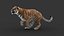3D tiger animation fur