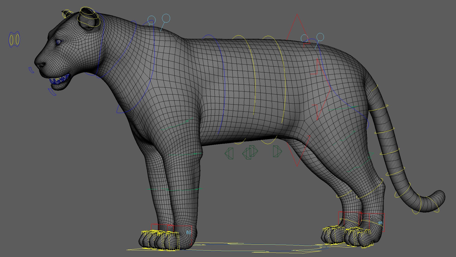 3D tiger animation fur https://p.turbosquid.com/ts-thumb/Xu/nFHBKo/bteRR91y/rig01/jpg/1566359360/1920x1080/fit_q87/a33133d15d1eaba6fa9cfd00026e6592251ad368/rig01.jpg