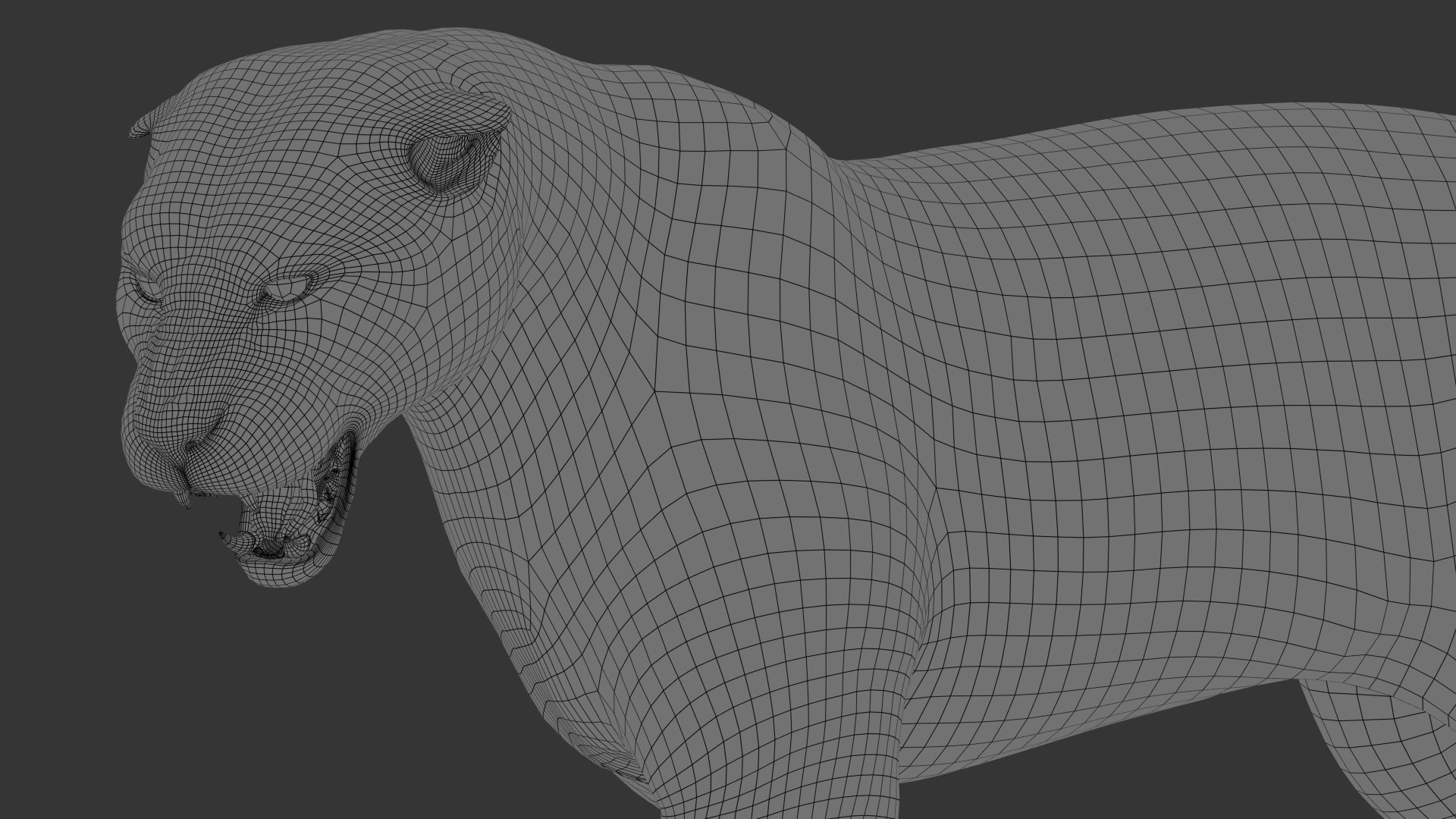3D tiger animation fur https://p.turbosquid.com/ts-thumb/Xu/nFHBKo/jn19O8Ds/wire01/jpg/1566359360/1920x1080/fit_q87/199e8f3567389874eaf6f1936e7208170ba5a4c7/wire01.jpg