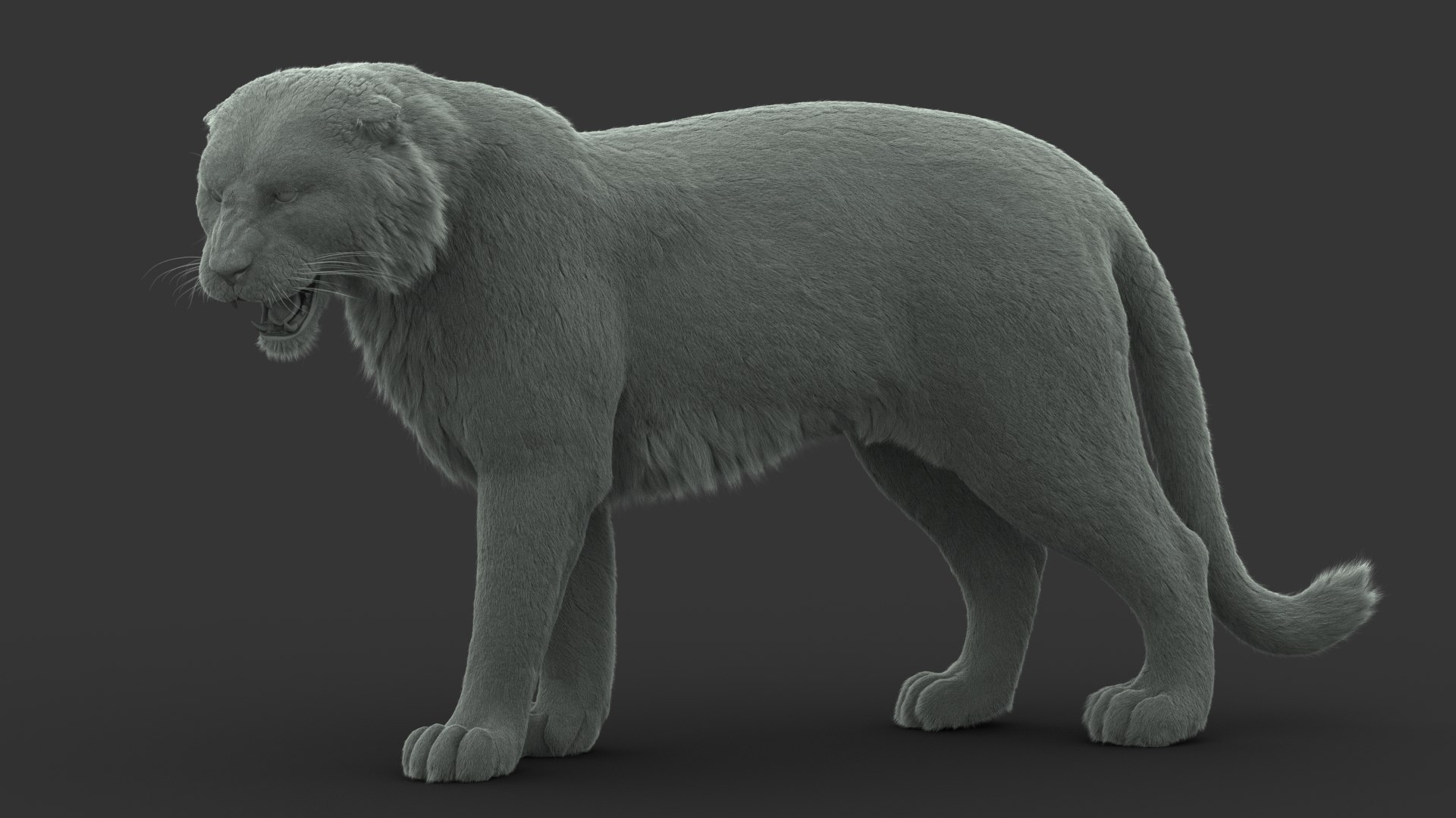 3D tiger animation fur https://p.turbosquid.com/ts-thumb/Xu/nFHBKo/tgtoX9vD/clay/jpg/1566359360/1920x1080/fit_q87/216266a00e18d71d5018d05bcb470398e120b412/clay.jpg