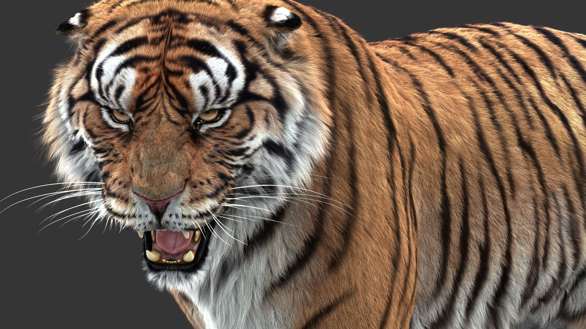 3D tiger animation fur https://p.turbosquid.com/ts-thumb/Xu/nFHBKo/weSw5sq2/05/jpg/1566349287/1920x1080/fit_q87/280e3f4c025bb1a7c842f05a5f2d3a5a39d559cd/05.jpg