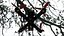 Drone Quadricottero