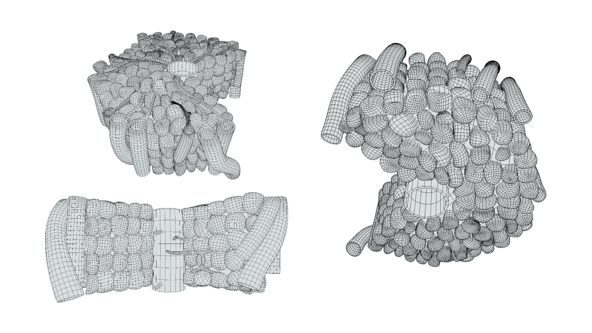 Hepatic Lobule Anatomy 3D https://p.turbosquid.com/ts-thumb/Xu/pQmirV/jF/hepatic_wireframe_2/png/1696445230/1920x1080/fit_q87/b93b6f162f3e35a09fda7ec8d63401de80871165/hepatic_wireframe_2.jpg