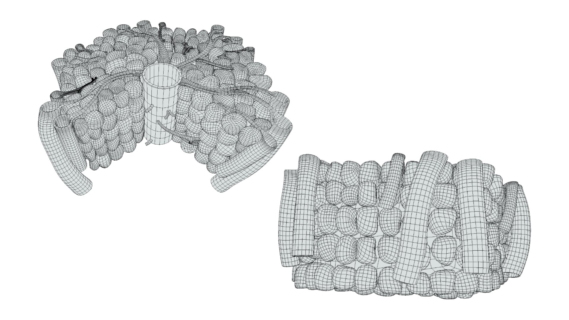 Hepatic Lobule Anatomy 3D https://p.turbosquid.com/ts-thumb/Xu/pQmirV/sr/hepatic_wireframe_1/png/1696445229/1920x1080/fit_q87/0e6794c52481917098a775549923ff4b8bbc4e2e/hepatic_wireframe_1.jpg