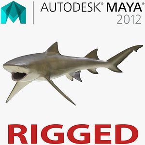 ma sicklefin lemon shark rigged