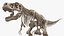tyrannosaurus rex skeleton fossil 3D