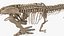 tyrannosaurus rex skeleton fossil 3D
