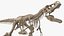 tyrannosaurus rex skeleton fossil 3D
