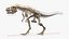 tyrannosaurus rex skeleton fossil 3D