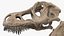 tyrannosaurus rex skeleton fossil 3D